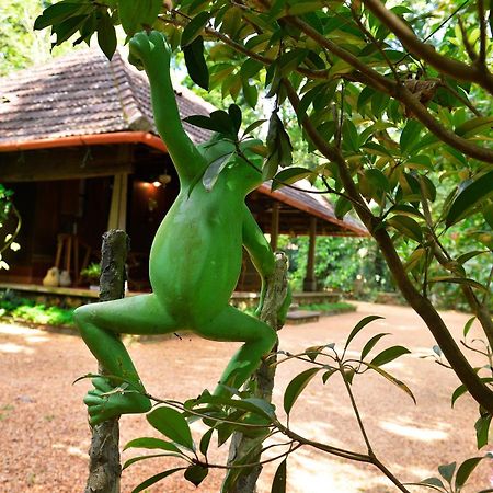 Swasthi Serviced Villa Kanjirapalli ภายนอก รูปภาพ