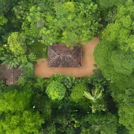 Swasthi Serviced Villa Kanjirapalli ภายนอก รูปภาพ