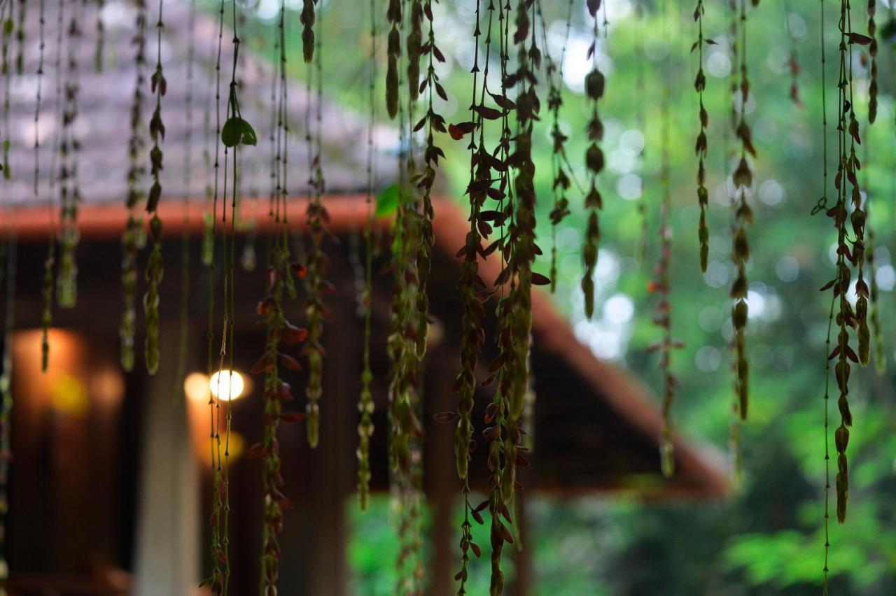 Swasthi Serviced Villa Kanjirapalli ภายนอก รูปภาพ